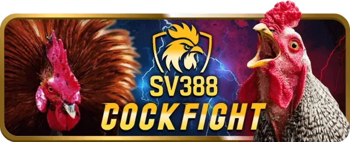 Lợi ích khi chọn ball88 nhà cái